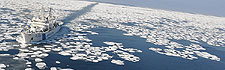 海氷情報サイトバナー画像